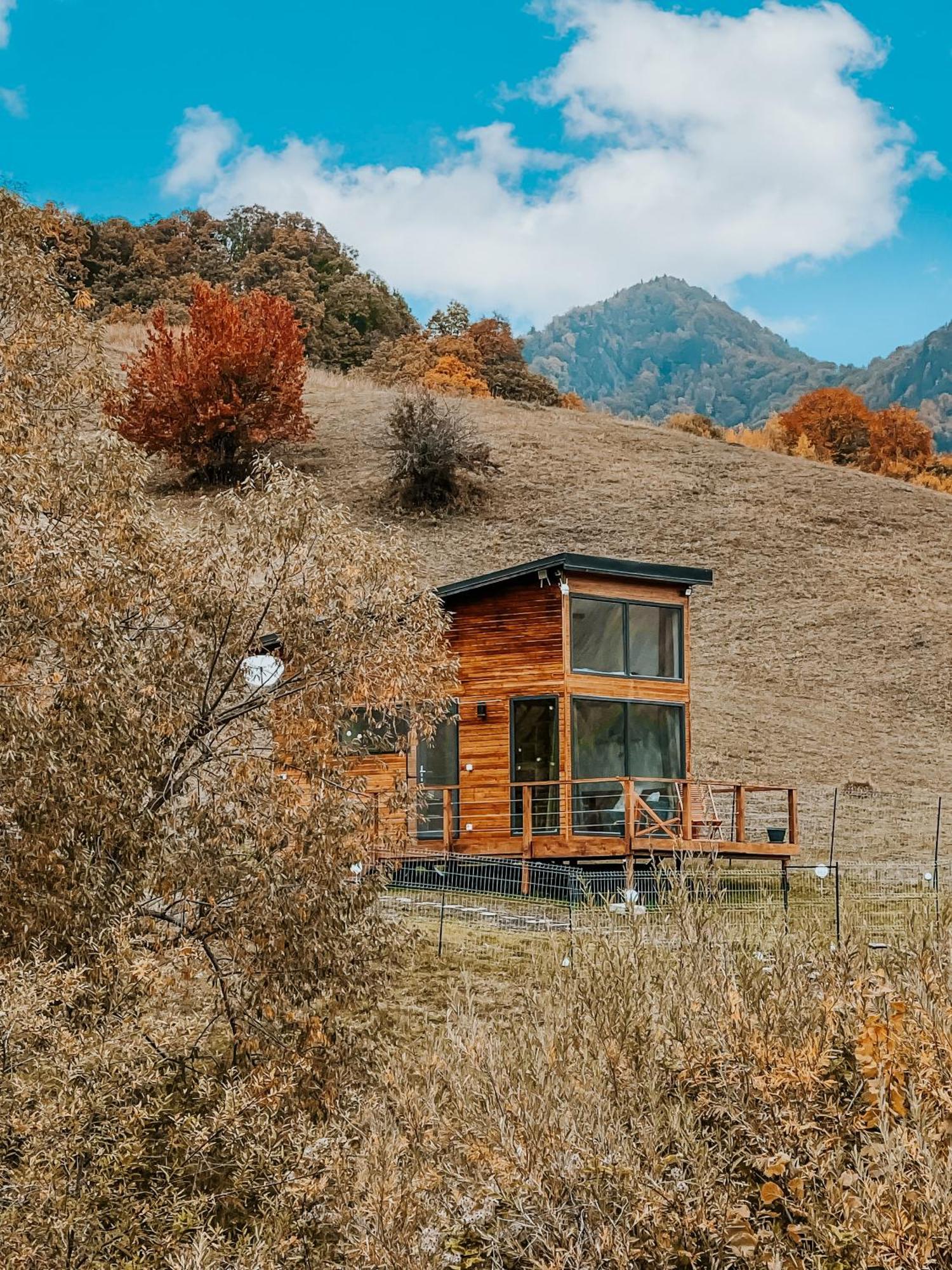 Roua By Noratlas Heritage - Adults Only Buzău Zewnętrze zdjęcie